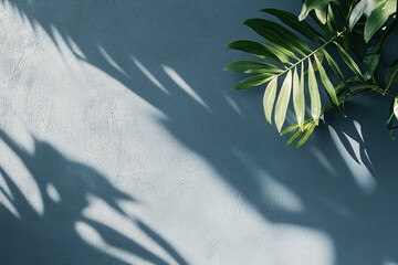 Tropical leaves casting beautiful shadows on a textured blue wall, creating a relaxing and calming atmosphere