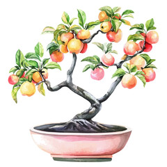 Wall Mural - A watercolor drawing of a malay apple bonsai, isolated on a white background. Bonsai vector.
