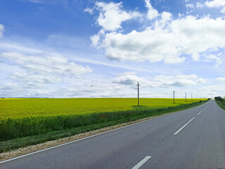 Open road lined with power poles beside a vast yellow field under a blue sky