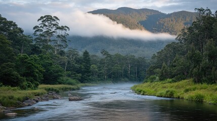 Canvas Print - Serene River Flowing Through Lush Green Forest and Misty Mountains