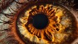 © pupus - Extreme Closeup Of A Human Eye Iris Detail
