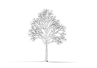 Poster - Tree drawing line art design black and white illustration ideal for nature themes and artistic concepts