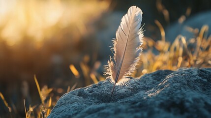 Single white feather standing on rock at sunset, hope and spirituality concept