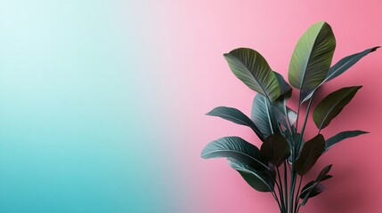 Aufkleber - Tropical plant creating vibrant contrast against a two-toned background