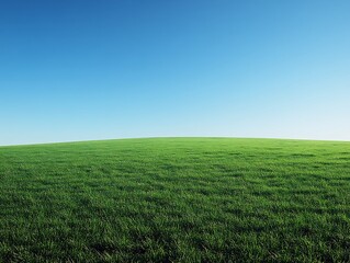 Vast green field under a clear blue sky.