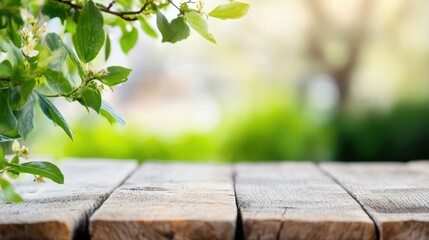 Wall Mural - an empty wooden platform is nestled among lush greenery, offering a serene outdoor space for relaxat