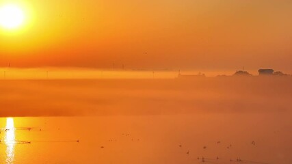 Wall Mural - fog over the river