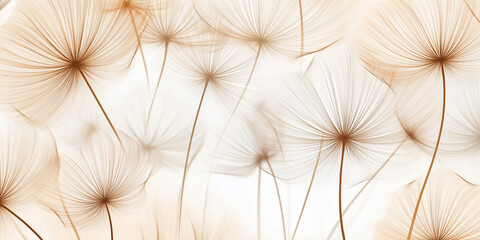 Poster - Dandelion seeds gently floating on white background creating a serene atmosphere