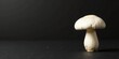 © napak - A Single Pale Mushroom on a Dark Surface, a Study in Contrast and Simplicity