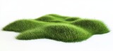 Lush green grass patch isolated on white background.
