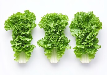 Wall Mural - Three fresh green lettuce leaves on white background. (1)