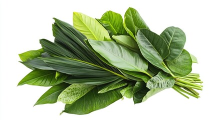 Poster - Close-up view of a bouquet made entirely of various fresh green tropical leaves, isolated on a white background with clipping path, offering space for text or design.