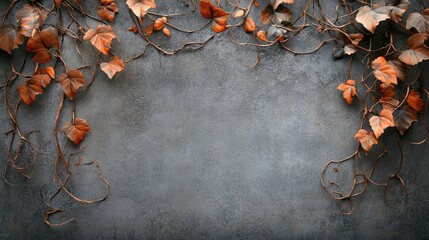 Aufkleber - Old gray wall with dry ivy plant vines, creating a dark, spooky atmosphere for Halloween-themed designs or creepy textured backgrounds.