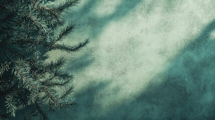 Aufkleber - Textured green concrete wall with abstract fir tree shadows. Nature concept background with space for poster or advertising mockups, ideal for a minimalist design.