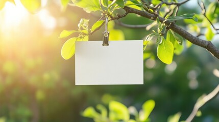 Poster - White blank business card clipped to a spring tree branch on a sunny day, with pastel green nature background, ideal for seasonal branding and copy space.