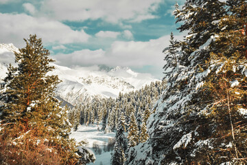 Wall Mural - Aerial view beautiful forest in winter wonderland landscape. Snowy fir trees or spruce. Caucasus mountains. Georgia winter holidays travel destination. Svaneti region. Mestia