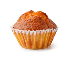 Wall Mural - Freshly baked muffin in a white paper liner on a plain background