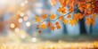 © Choo NSK - Golden Autumn Leaves Hanging from a Tree Branch with a Dreamy Soft Bokeh Background in a Tranquil Forest Setting