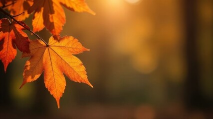 autumn leaf hanging on tree close up