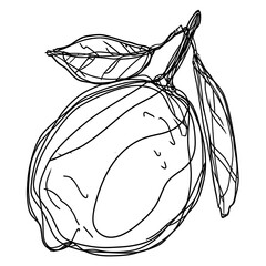 Sticker - PNG  Continuous line drawing lemon sketch art illustrated.