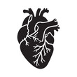 © Riki - anatomical heart vector clip art flat design.