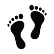 © Solayman - human footprint vector icon. bare footprint vector icon. footprint symbol for social media, mobile app, ui, website. vector illustration on transparent background