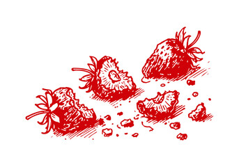 Strawberry Leftover Waste Hand Drawn Sketch Illustration Vector Isolated