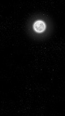 Wall Mural - the night sky moves behind the stars
