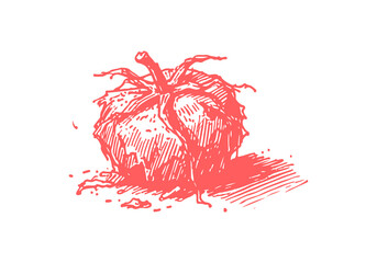 Tomato Leftover Waste Hand Drawn Sketch Illustration Vector Isolated