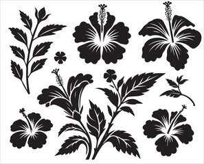 Silhouette hibiscus flower set, Vector illustration botanical elements background.	
