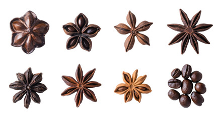 Collection of star anise seeds displayed against a white isolated background, showcasing their unique star-shaped appearance.