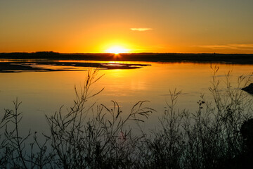 Wall Mural - A sunset over a lake with a reflection of the sun on the water