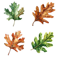 Poster - Autumn leaves collection nature walk watercolor art forest environment aesthetic viewpoint seasonal beauty