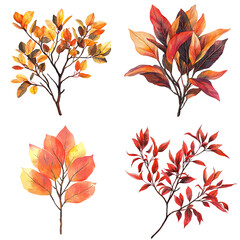 Poster - Autumn leaves arrangement nature botanical art studio close-up seasonal colors