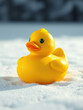 © suchetpong - Bright yellow rubber duck on white background, isolated, childhood, adorable, fun, object