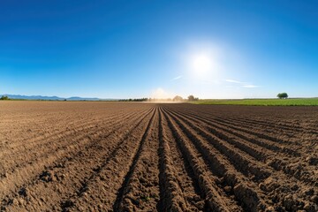 A vast agricultural field showcases freshly plowed rows under a clear blue sky, highlighting the beauty of farming and nature's harmony in agriculture.