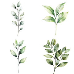 Poster - Elegant greenery illustrations botanical art nature close-up aesthetic decor ideas