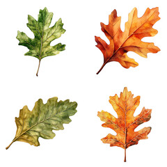 Poster - Captivating fall leaves collection natural setting artistic photography outdoor environment close-up view seasonal beauty