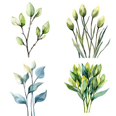 Aufkleber - Elegant greenery illustrations botanical art watercolor style natural setting close-up nature inspired