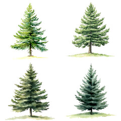 Poster - Diverse pine tree nature art watercolor artistic representation