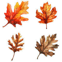 Poster - Vibrant autumn leaves display forest floor nature photography colorful environment close-up view seasonal beauty
