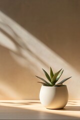 Poster - A small potted plant sits in a matte ceramic pot on a light oak table, illuminated by soft shadows, creating a calming and tranquil decor detail perfect for a minimalist setting