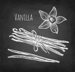 Canvas Print - vanilla flower and dried beans chalk sketch