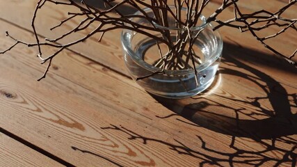 Poster - Dry branches in a clear glass vase casting shadows on wooden surface, minimalist interior decor concept