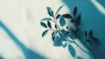 Wall Mural - Bay leaf shadows on textured wall with soft blue tones Natural minimalism and ample copy space for design elements and text overlays