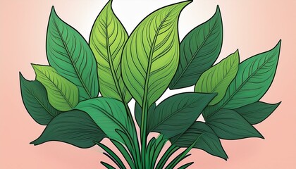 illustration of a plant