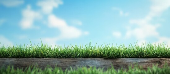 Sticker - Green Grass Banner with Wooden Ground and Bright Morning Blue Sky with Soft White Clouds and Ample Empty Space for Text