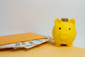 Wall Mural - Money management in crisis. Piggy bank on the background of money. Book on financial literacy. Concept of finance and economics. Blank cover.
