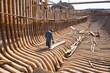 © robertharding - Inner structure in teak wood of dhow under construction in traditional shipyard, Sur, Ash Sharqiyah Region, Sultanate of Oman, Arabian Peninsula