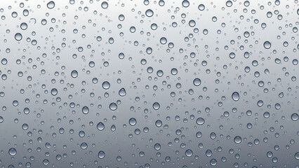 Fototapete - Naturalistic water droplets on a transparent pane. Vector graphic
